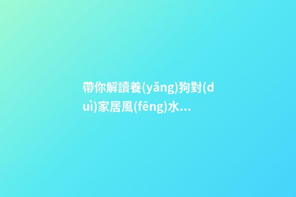 帶你解讀養(yǎng)狗對(duì)家居風(fēng)水影響奧秘 當(dāng)心常會(huì)在家居設(shè)計(jì)中犯的禁忌